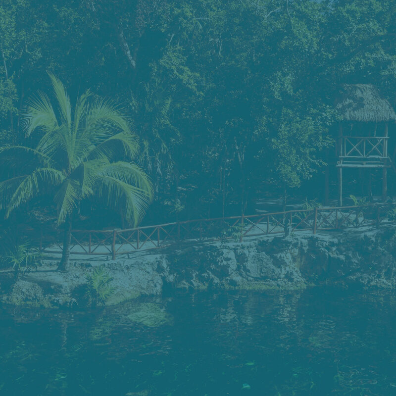 La importancia de ESG